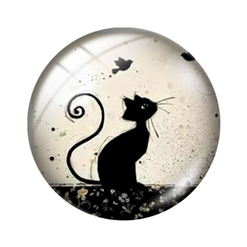 Pittura con i numeri Gatto, ca - Photography Course recensione e prezzo