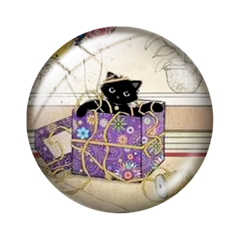 Pittura con i numeri Gatto, ca - Photography Course recensione e prezzo