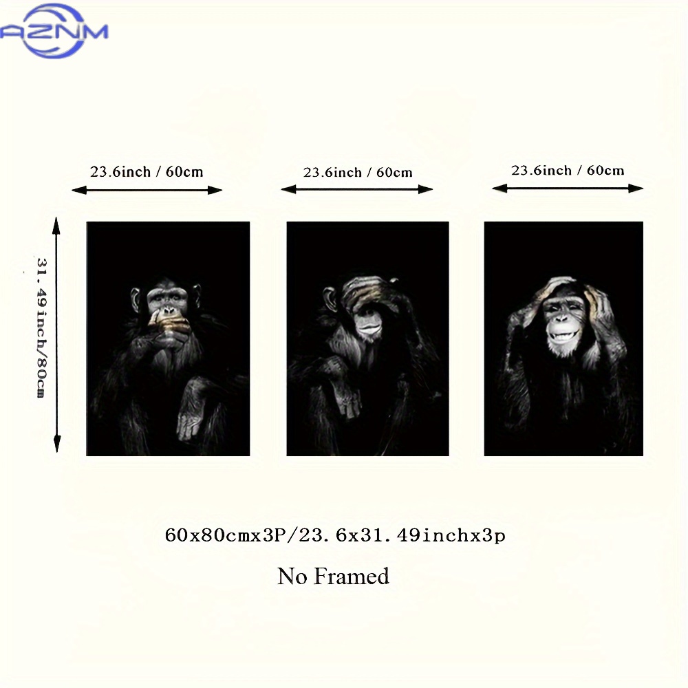 Set di 3 Poster Stampati in Bi - Photography Course recensione e prezzo